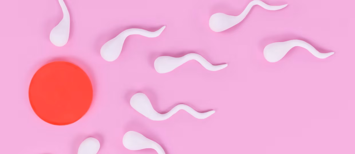 නිතර පිට නොකළොත් ශුක්‍රානුවල පිහිනුම් වේගය අඩුවෙනවා! සරුභාවය ගැන වැදගත් පර්යේෂණයක ප්‍රතිඵල