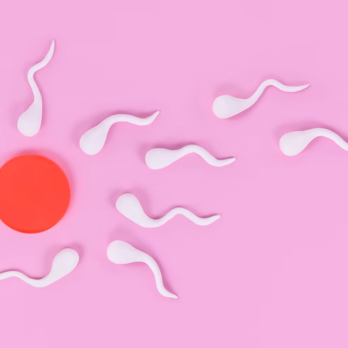 නිතර පිට නොකළොත් ශුක්‍රානුවල පිහිනුම් වේගය අඩුවෙනවා! සරුභාවය ගැන වැදගත් පර්යේෂණයක ප්‍රතිඵල